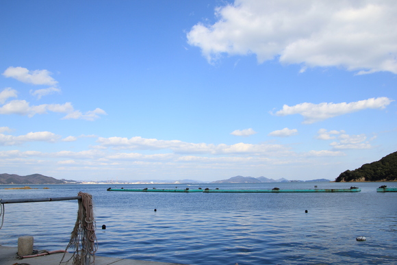d0202264_6234186.jpg