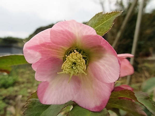 b0182884_011365.jpg