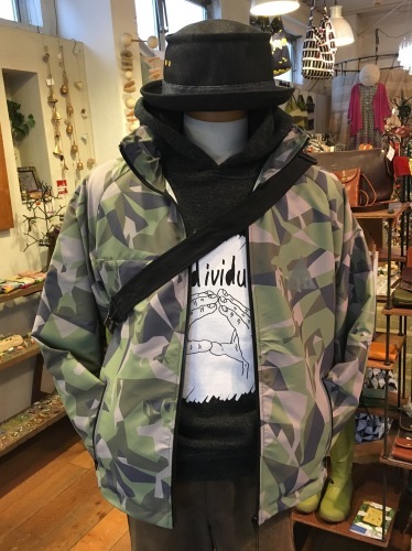 c0166293_16554617.jpeg