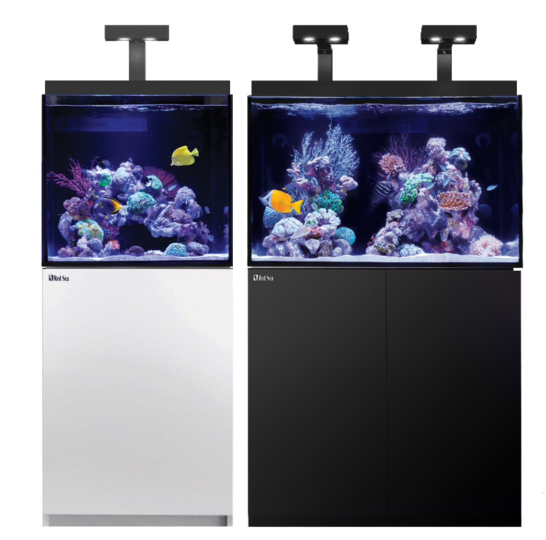 レッドシーから待望の新型水槽セットが登場!! (二木ついに海外