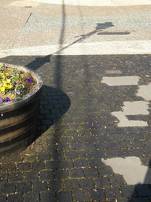 b0182708_14582505.jpg