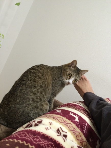 c0109109_13332753.jpeg