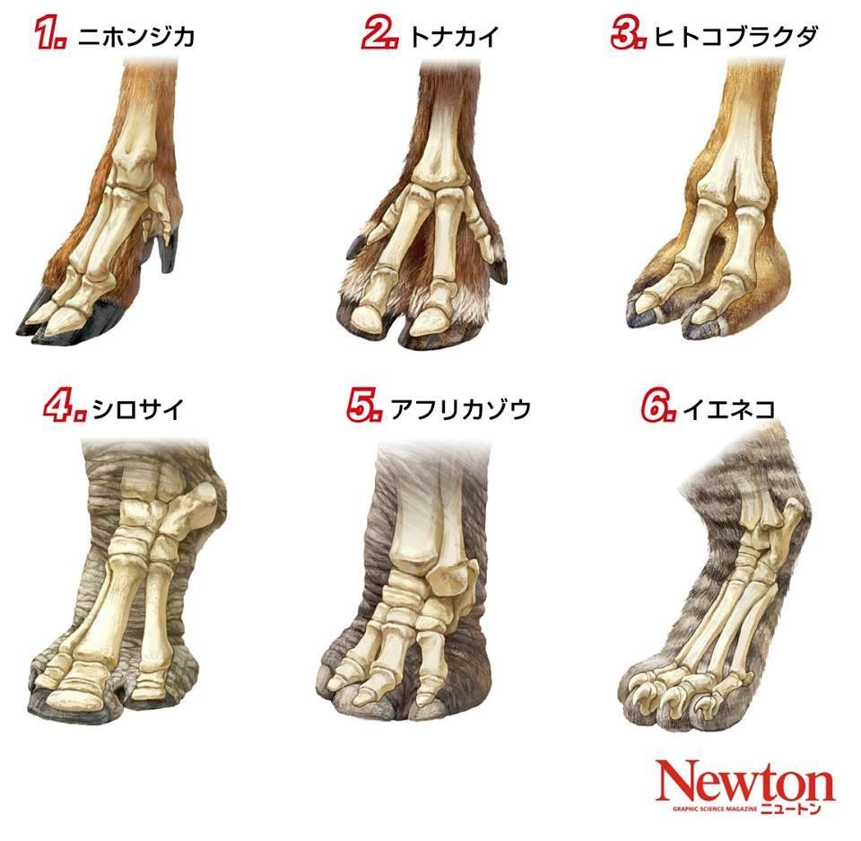 北海道大学入試・2次試験_c0025115_19024855.jpg