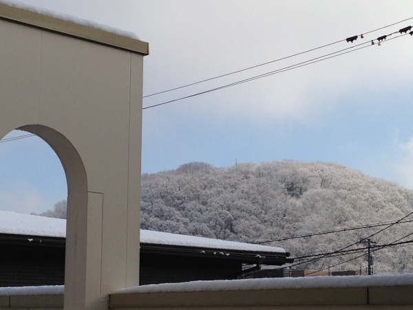b0097729_23280919.jpeg