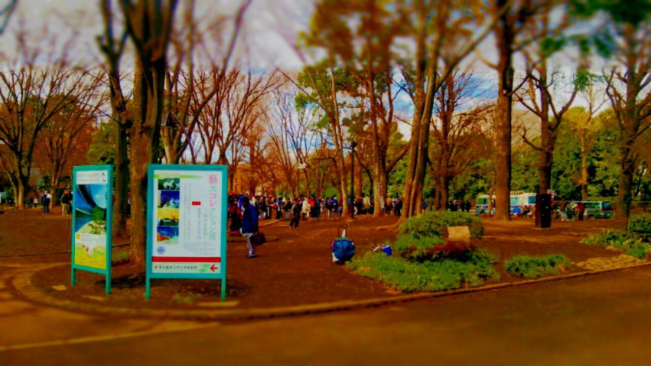 c0337631_22050350.jpg