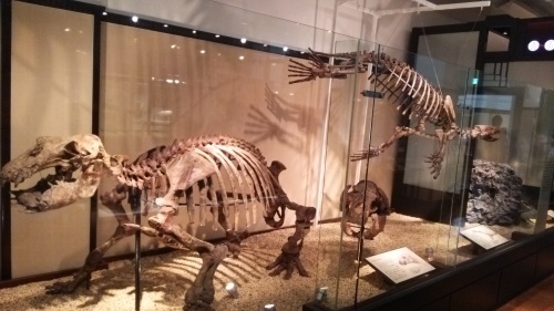 c0337631_22122578.jpg