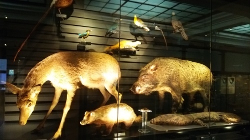 c0337631_22130137.jpg