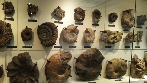 c0337631_22134019.jpg