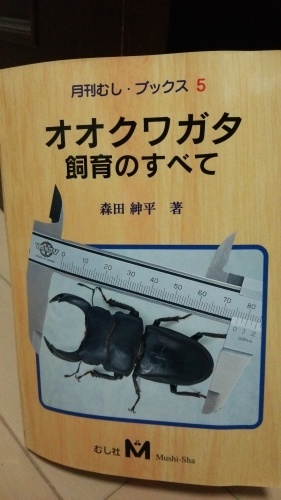 c0337631_22341679.jpg