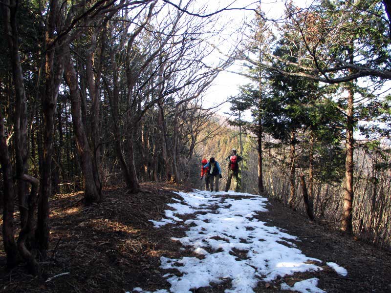 お犬様信仰の城峯神社～城峯山。_d0000031_10184991.jpg