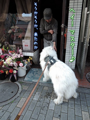 ワホー♪　のち_c0062832_12394886.jpg