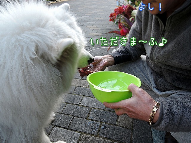 ワホー♪　のち_c0062832_1240113.jpg