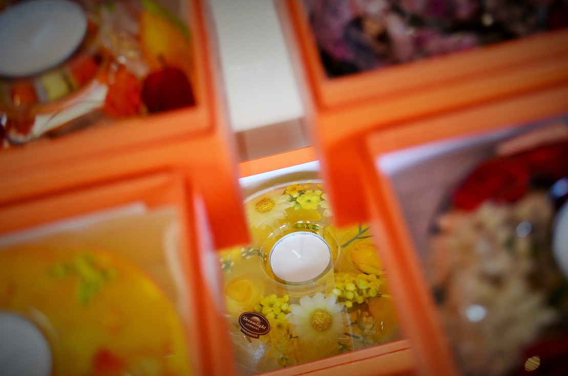 ”夢のともしび～Dream Light～Made in Geamany 2/25thu\"_d0153941_1422328.jpg