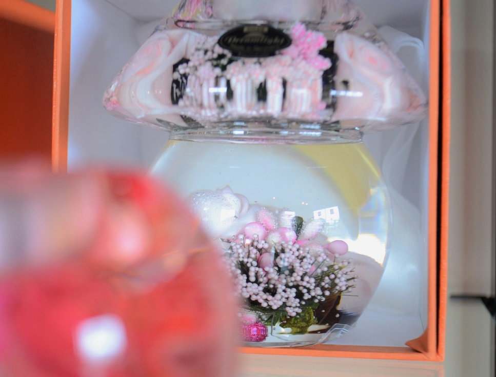 ”夢のともしび～Dream Light～Made in Geamany 2/25thu\"_d0153941_1423689.jpg