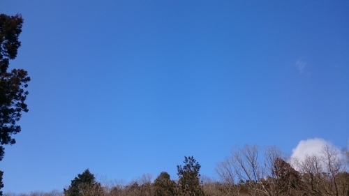 e0145441_05021030.jpg