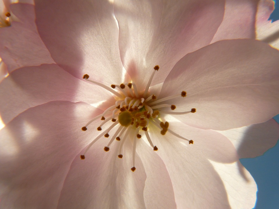 a0054043_6122044.jpg