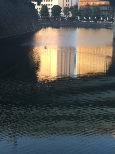 c0274350_03251833.jpeg