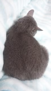 f0200871_0103629.jpg