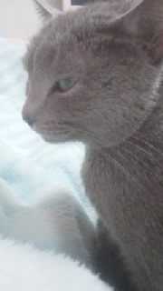 f0200871_0103699.jpg