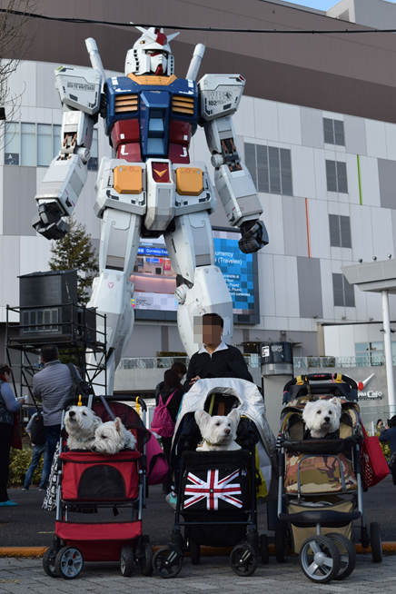 b0242873_12333359.png