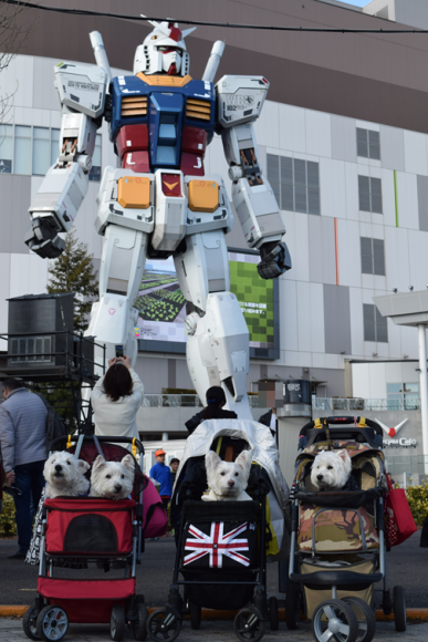 b0242873_12334187.png