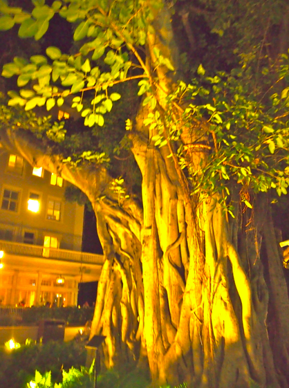 a0146493_14363299.png