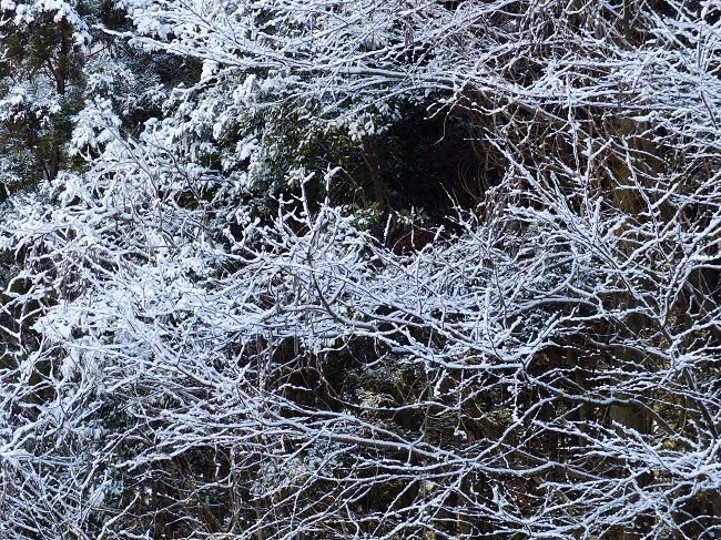 d0234293_17103512.jpg
