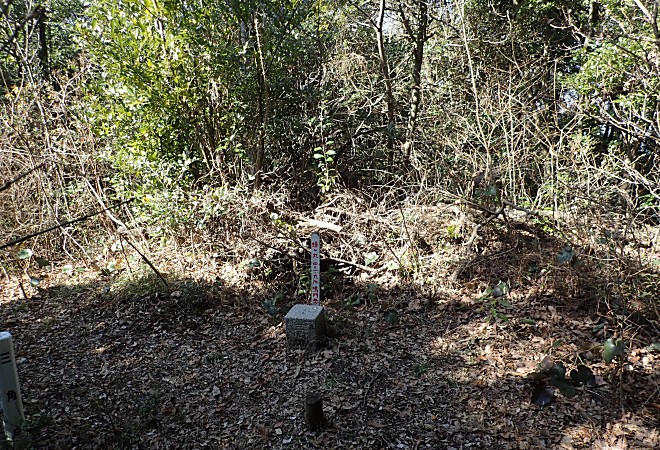 a0339396_21141677.jpg