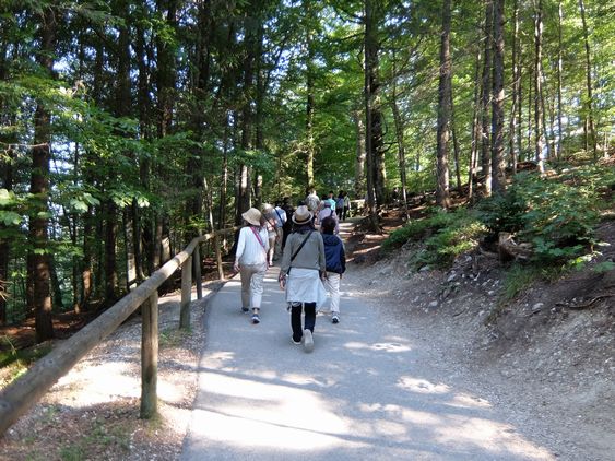 ヨーロッパ旅行記9 ノイシュバンシュタイン城~スイスへ_c0191597_2223319.jpg