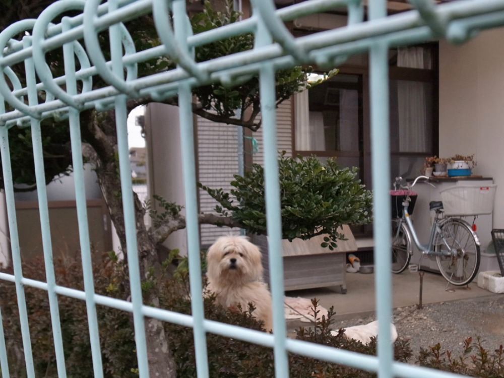 心も満タンに~♪ (^o^)_c0049299_21494565.jpg