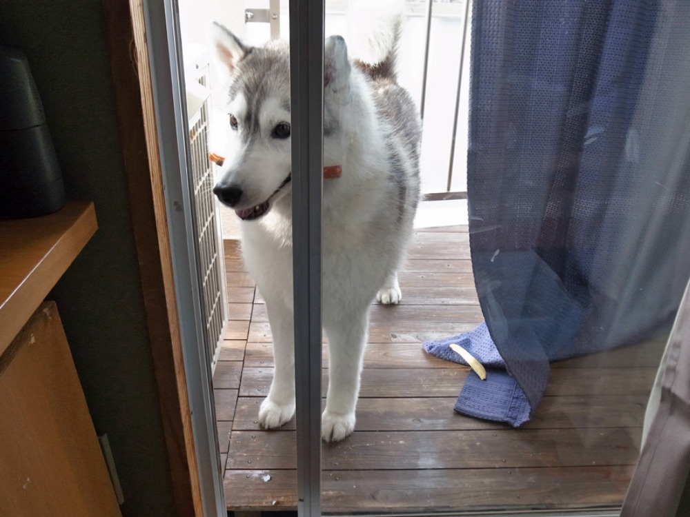 心も満タンに~♪ (^o^)_c0049299_2212135.jpg