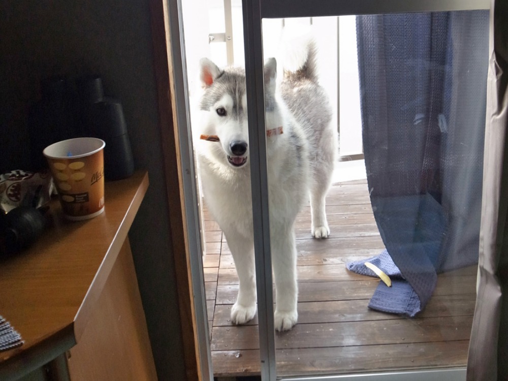 心も満タンに~♪ (^o^)_c0049299_22135677.jpg