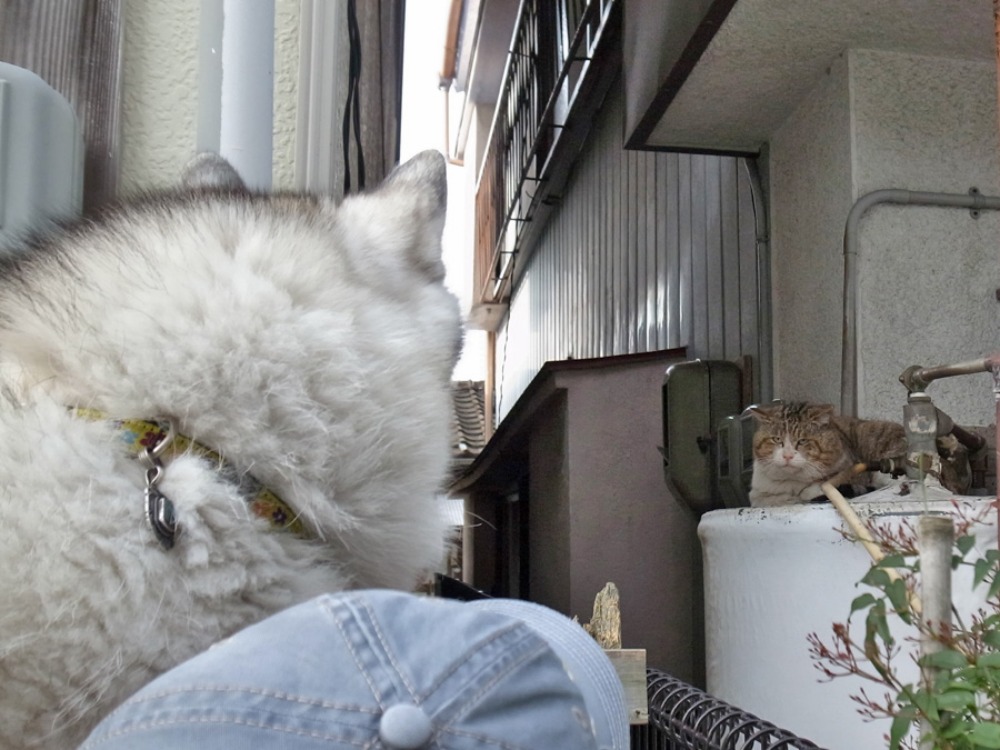 心も満タンに~♪ (^o^)_c0049299_227355.jpg