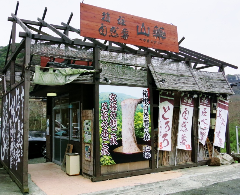 自然薯の森・山薬_b0083801_3263290.jpg