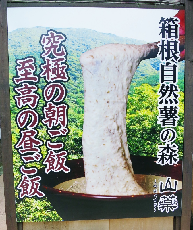 自然薯の森・山薬_b0083801_3291614.jpg