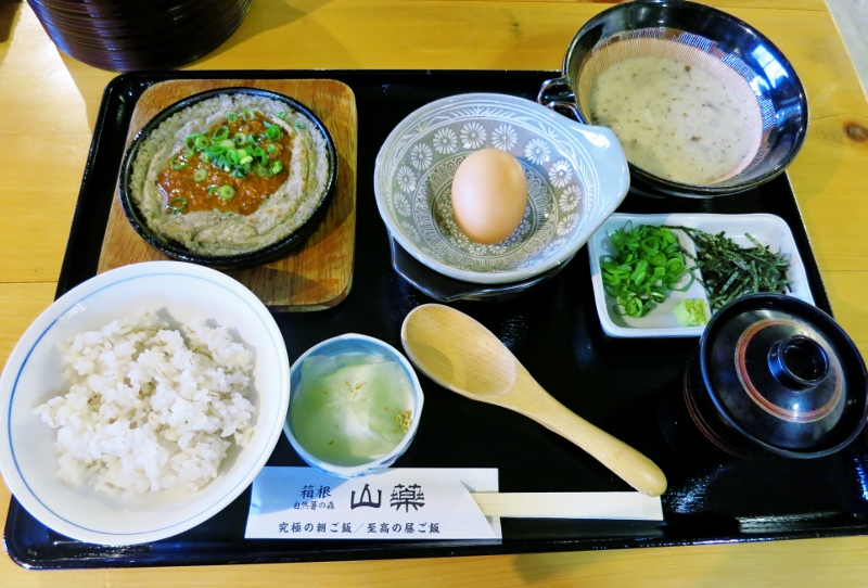 自然薯の森・山薬_b0083801_3385982.jpg
