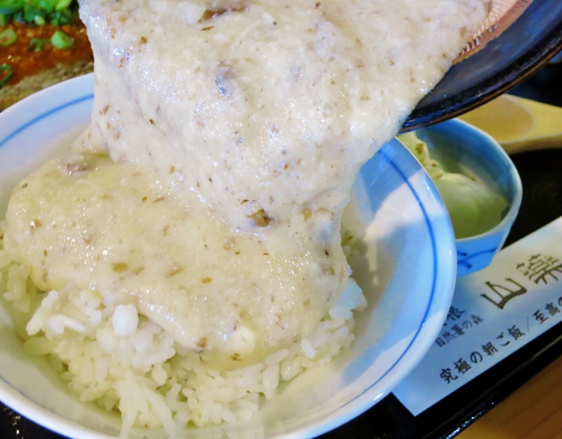 自然薯の森・山薬_b0083801_3432970.jpg