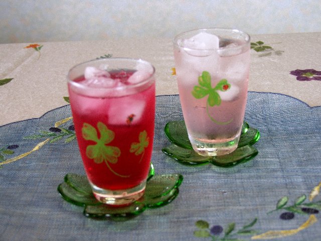 c0008502_13474854.jpg
