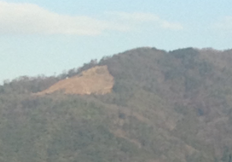 a0164011_17151198.png