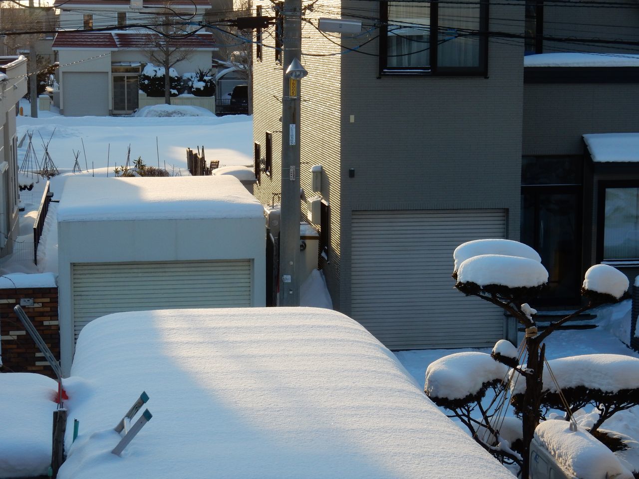 朝7時の太陽がまぶしい_c0025115_19261061.jpg