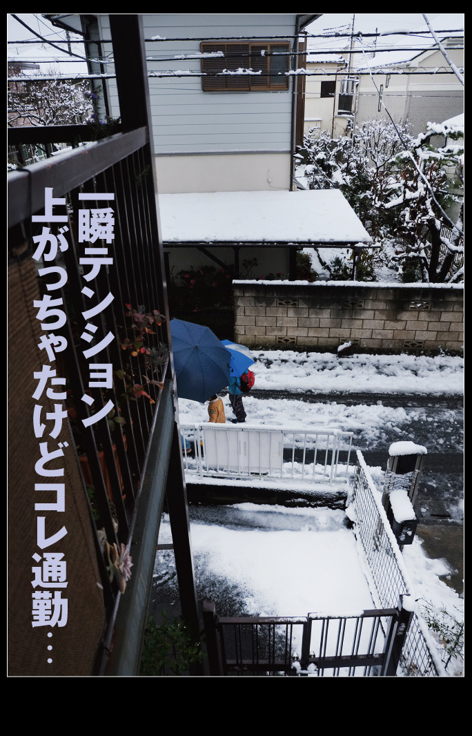 大雪の東京と『銀座天龍』の餃子_a0358016_09424128.jpg