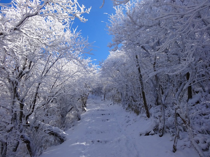 久住山登山_f0174419_1014177.jpg