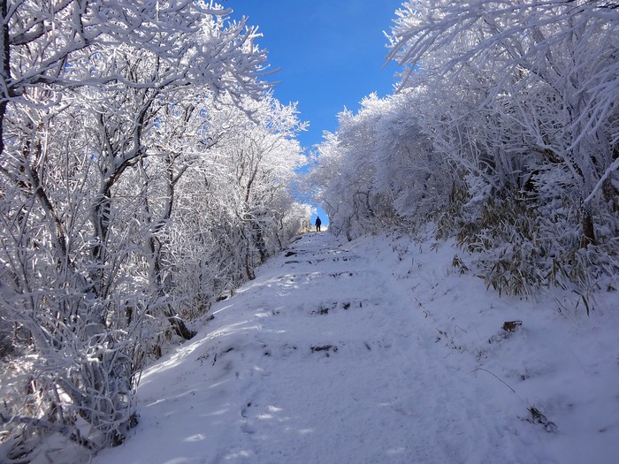 久住山登山_f0174419_1015482.jpg