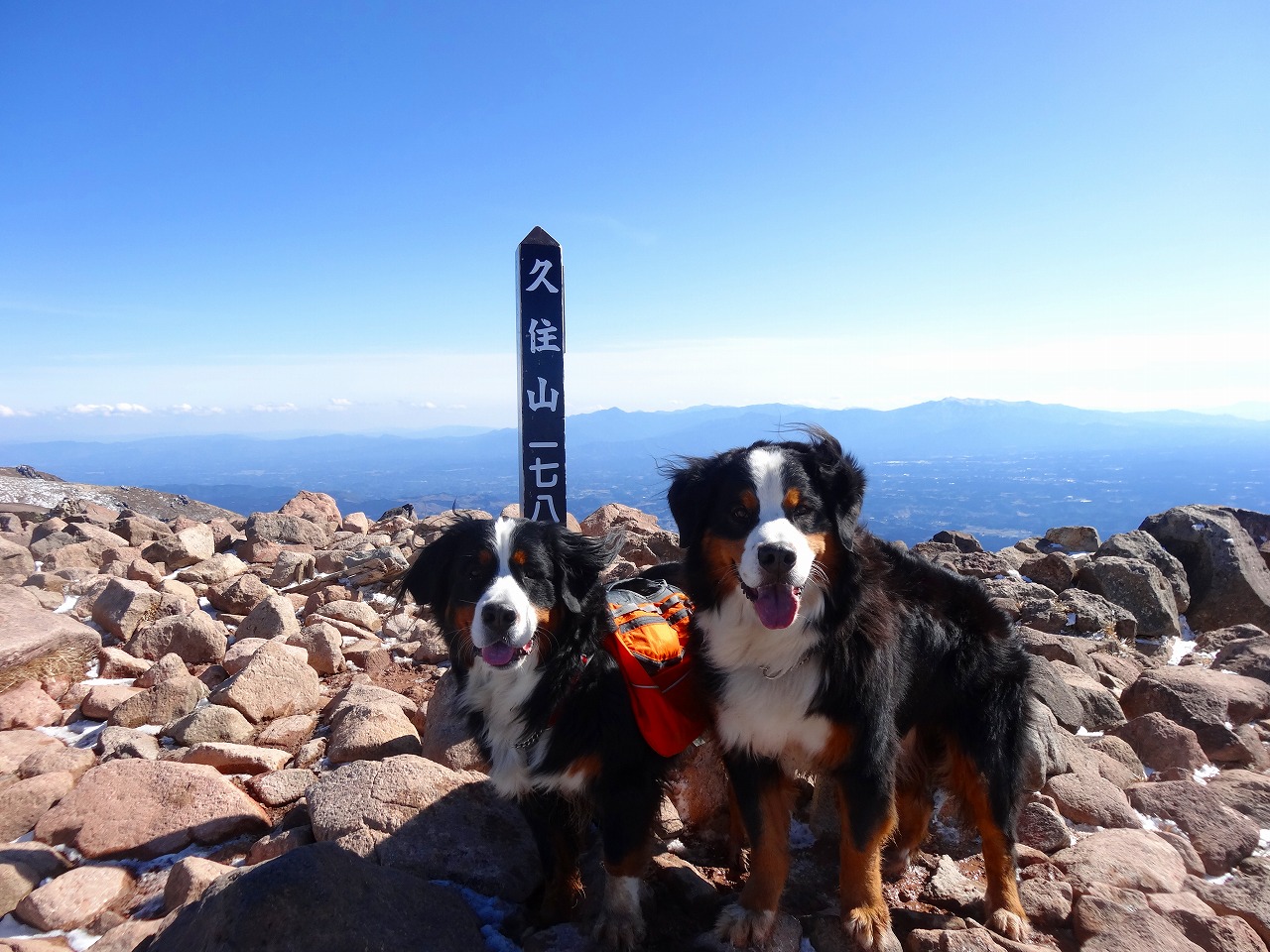 f0174419_10212144.jpg