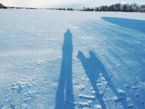 e0233220_14154.jpg