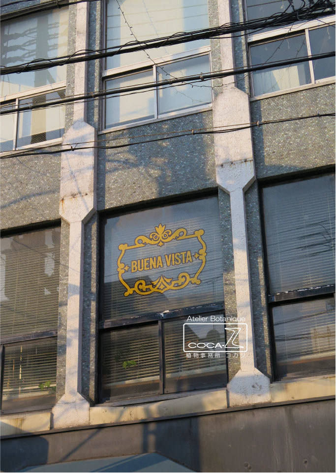 b0160123_23504671.jpg
