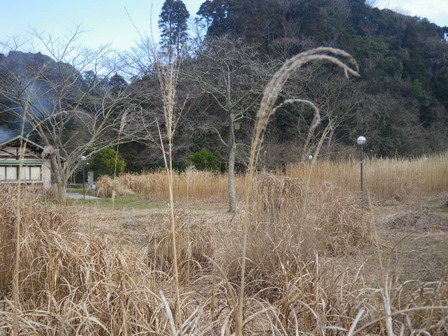 a0123836_16175779.jpg