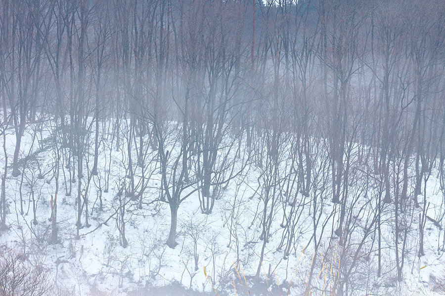 c0067040_22503351.jpg
