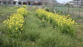 f0217855_21322432.jpg
