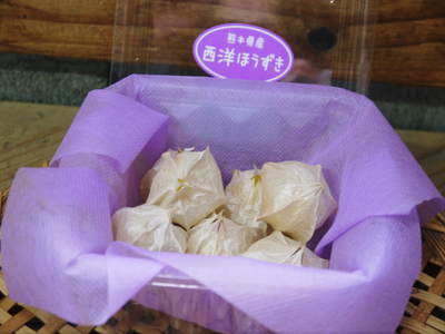 西洋ほうずきの販売に向けて! その2 収穫と天日干し_a0254656_17482986.jpg